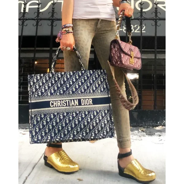 Stylish Christian Dior Handbag For Women (LAB1188) - stayhit.in