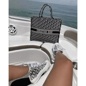Stylish Christian Dior Handbag For Women (LAB1189) - stayhit.in