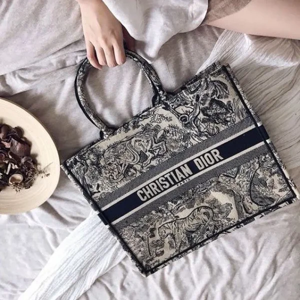 Stylish Christian Dior Handbag For Women (LAB1190) - stayhit.in Stylish Christian Dior Handbag For Women (LAB1190) - stayhit.in