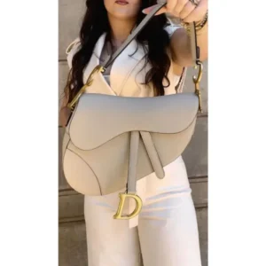 Stylish Christian Dior Handbag For Women (LAB1672) - stayhit.in