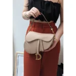 Stylish Christian Dior Handbag For Women (LAB1672) - stayhit.in