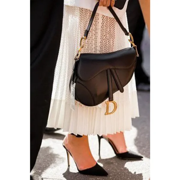 Stylish Christian Dior Handbag For Women (LAB1673) - stayhit.in Stylish Christian Dior Handbag For Women (LAB1673) - stayhit.in