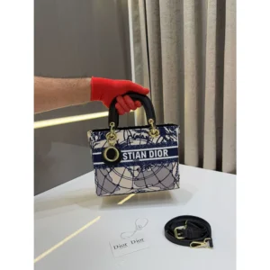 Stylish Christian Dior Handbag For Women (LAB2791) - stayhit.in