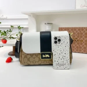 Stylish Coach Baguette Shoulder Bag Signature For Women (BSF881) - stayhit.in
