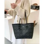 Stylish Coach City Hutton Tote Bag With Box For Women (BOT2864) - stayhit.in