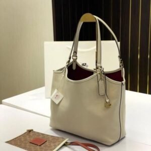 Stylish Coach day Tote Bag With Dust Bag For Women (BOT4064) - stayhit.in