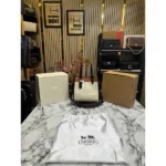 Stylish Coach Handbag For Women (BOT1743) - stayhit.in