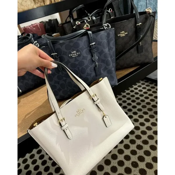 Stylish Coach Handbag For Women (BOT1744) - stayhit.in
