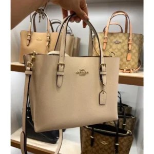 Stylish Coach Handbag For Women (BOT1746) - stayhit.in