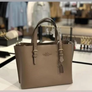 Stylish Coach Handbag For Women (BOT1747) - stayhit.in