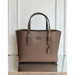 Stylish Coach Handbag For Women (BOT1747) - stayhit.in