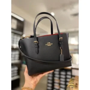 Stylish Coach Handbag For Women (BOT1748) - stayhit.in