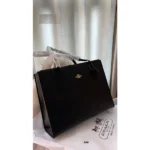 Stylish Coach Handbag For Women (BOT1818) - stayhit.in