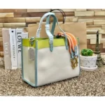 Stylish Coach Handbag For Women (BOT1827) - stayhit.in
