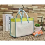 Stylish Coach Handbag For Women (BOT1827) - stayhit.in