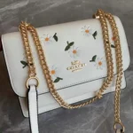Stylish Coach Handbag For Women (BOT1846) - stayhit.in
