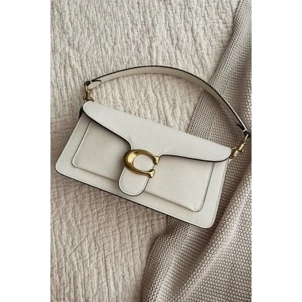 Stylish Coach Handbag For Women (LAB1478) - stayhit.in