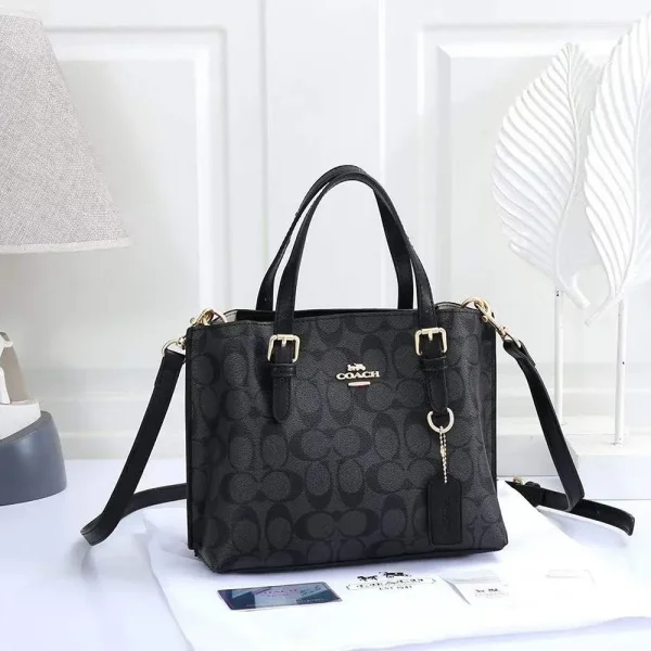 Stylish Coach Handbag For Women (LAB1534) - stayhit.in