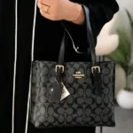 Stylish Coach Handbag For Women (LAB1534) - stayhit.in