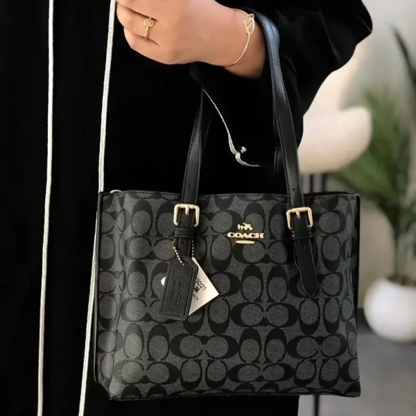 Stylish Coach Handbag For Women (LAB1534) - stayhit.in