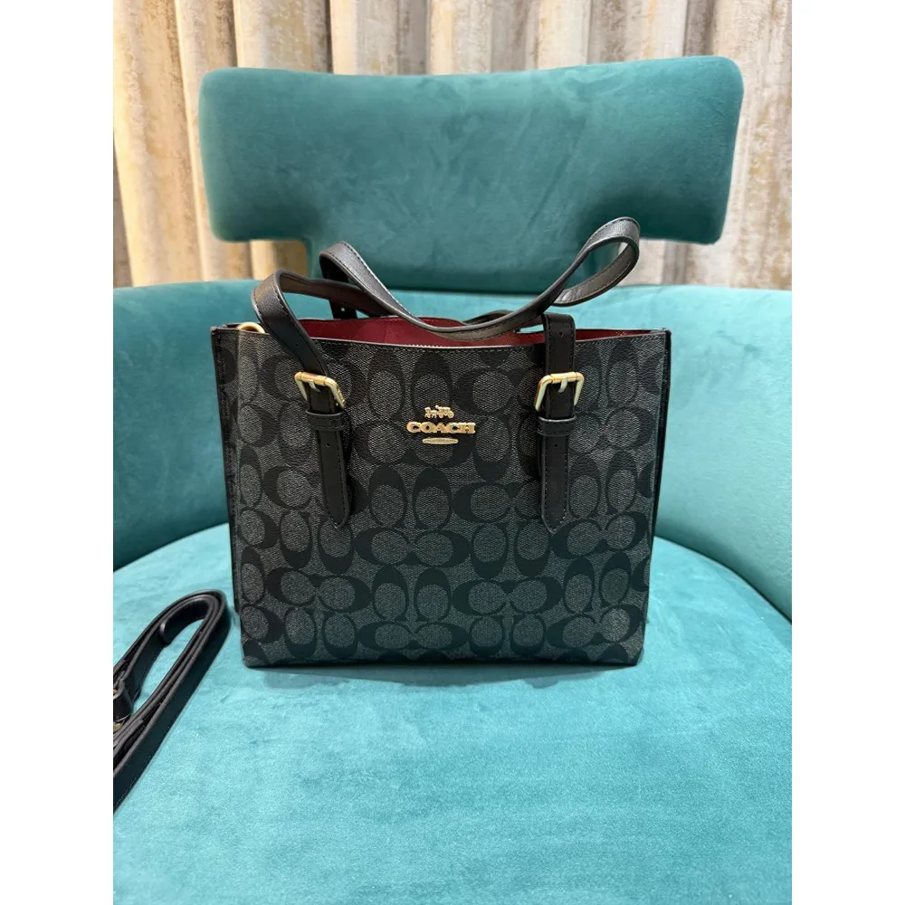Stylish Coach Handbag For Women (LAB1534) - stayhit.in