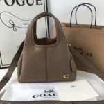 Stylish Coach Lana Khaki Bag With Og Box Dust Cover Long Belt For Women (SOS452) - stayhit.in