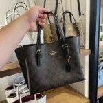 Stylish Coach Mollie Leather Bag With Dust Bag For Women (BOT3778) - stayhit.in