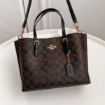 Stylish Coach Mollie Leather Bag With Dust Bag For Women (BOT3778) - stayhit.in