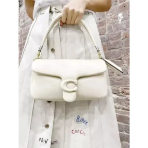 Stylish Coach Pillow Shoulder Bag For Women (BSF964) - stayhit.in