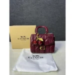 Stylish Coach Tabby Leather Bag Cherry Charm With Box For Women (BOT4054) - stayhit.in