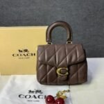 Stylish Coach Tabby Leather Bag With Box For Women (BOT4056) - stayhit.in