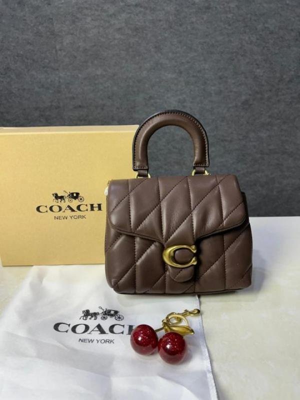 Stylish Coach Tabby Leather Bag With Box For Women (BOT4056) - stayhit.in