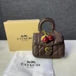 Stylish Coach Tabby Leather Bag With Box For Women (BOT4056) - stayhit.in