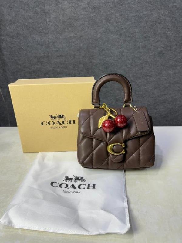 Stylish Coach Tabby Leather Bag With Box For Women (BOT4056) - stayhit.in
