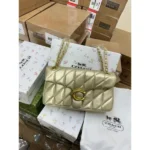 Stylish Coach Tabby Shoulder Bag With Box For Women (BOT3846) - stayhit.in
