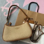 Stylish Coach Teri Beach Edition Bag With Og Box Dust Cover For Women (SOS469) - stayhit.in