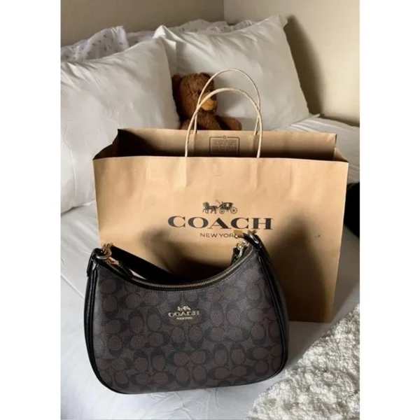 Stylish Coach Teri Hobo Shoulder Bag With Og Box For Women (LAB1062) - stayhit.in