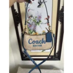 Stylish Coach Teri Mini Crossbody Bag With Og Box For Women (SUP8267) - stayhit.in
