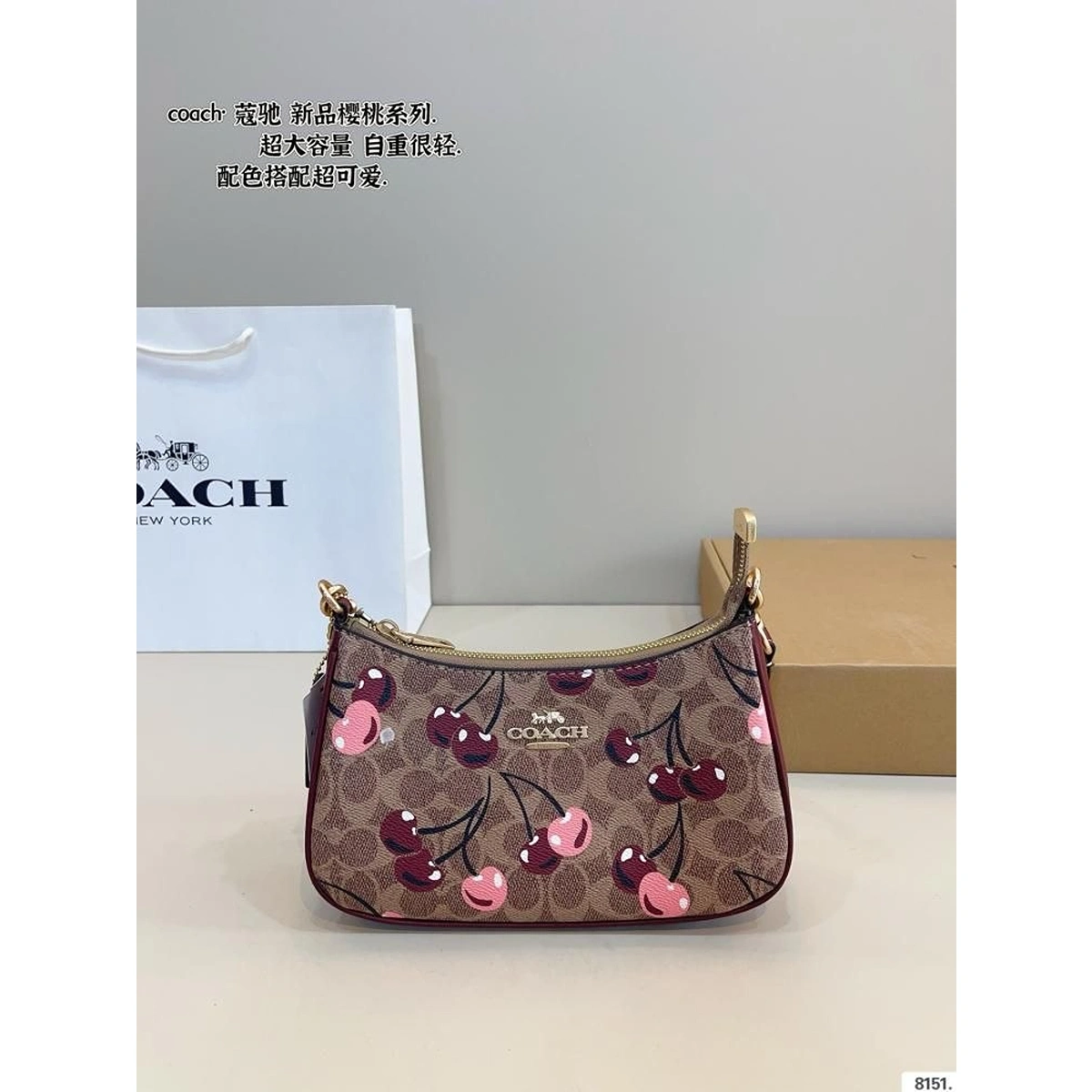 Stylish Coach Teri Shoulder Bag In Signature Canvas For Women (LAB678) - stayhit.in