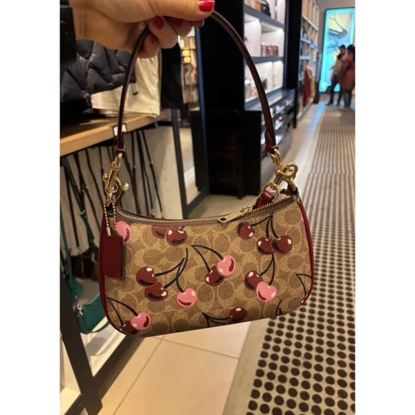 Stylish Coach Teri Shoulder Bag In Signature Canvas For Women (LAB678) - stayhit.in