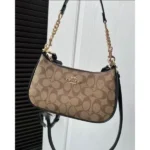 Stylish Coach Teri Shoulder Bag With Og Box For Women (BOT3786) - stayhit.in