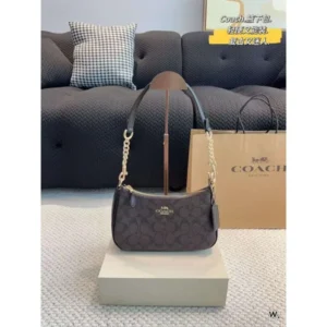 Stylish Coach Teri Sling Shoulder Bag For Women (LAB1193) - stayhit.in