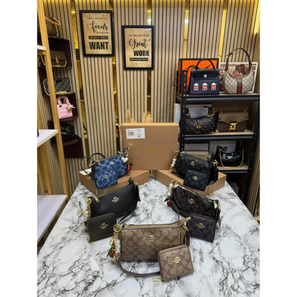 Stylish Coach Teri Tote Bag Combo With Signature Canvas For Women (JH434) - stayhit.in Stylish Coach Teri Tote Bag Combo With Signature Canvas For Women (JH434) - stayhit.in