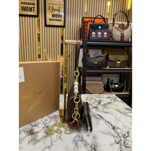 Stylish Coach Teri Tote Bag Combo With Signature Canvas For Women (JH436) - stayhit.in Stylish Coach Teri Tote Bag Combo With Signature Canvas For Women (JH436) - stayhit.in