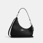 Stylish Coach Twisted Teri Shoulder Bag With Box For Women (BOT3848) - stayhit.in