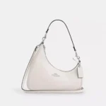 Stylish Coach Twisted Teri Shoulder Bag With Box For Women (BOT3849) - stayhit.in