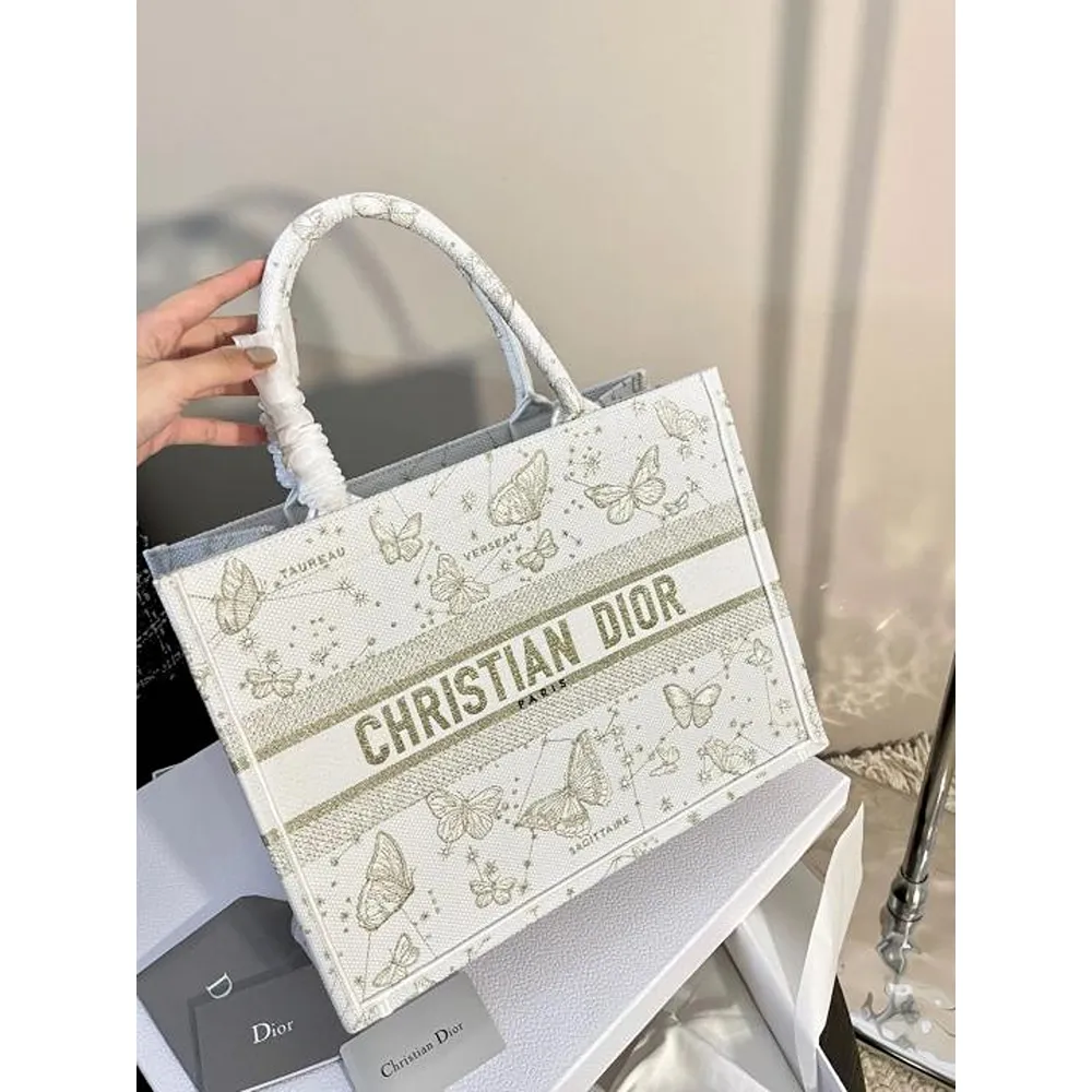 Stylish Dior Handbag For Women (BOT1832) - stayhit.in