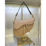Stylish Dior Saddle Leather Bag Khakhi With Og Box Dustcover For Women (BOT2566) - stayhit.in