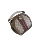 Stylish Gucci Gg Ophidia Bag Supreme Oval Round Shape With Box For Women (BSF1678) - stayhit.in