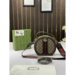 Stylish Gucci Handbag For Women (BOT1722) - stayhit.in